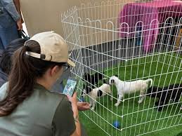 ‘Baby, me Leva!’ retorna ao Suzano Shopping neste sábado